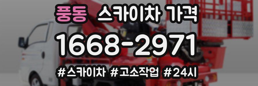 풍동 스카이차 가격