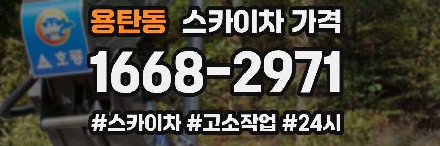 용탄동 스카이차 가격