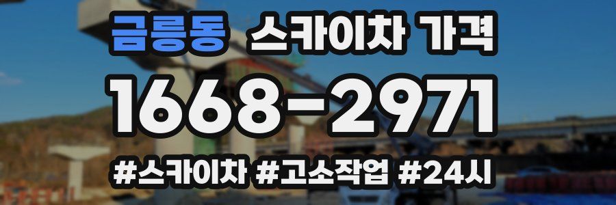 금릉동 스카이차 가격