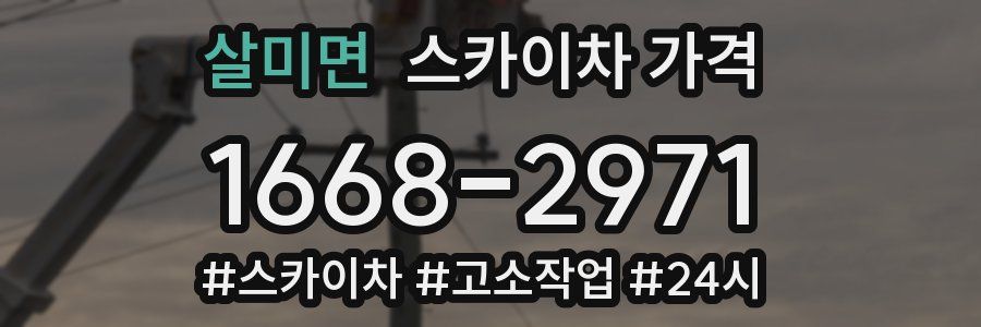 살미면 스카이차 가격