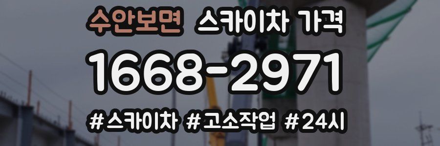 수안보면 스카이차 가격