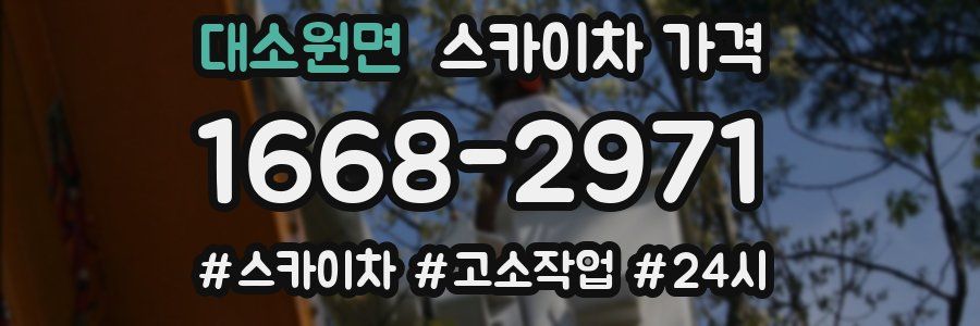 대소원면 스카이차 가격