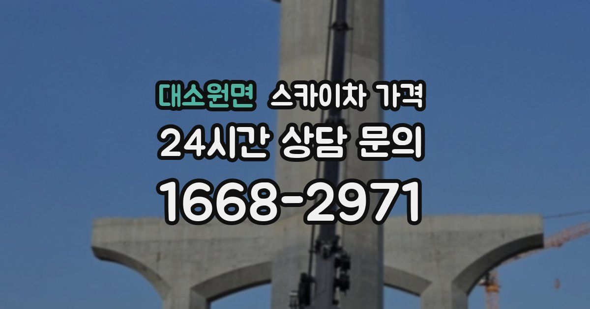 대소원면 스카이차 가격