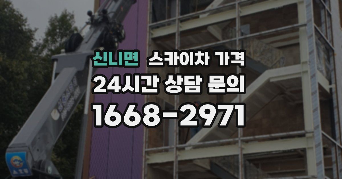 신니면 스카이차 가격