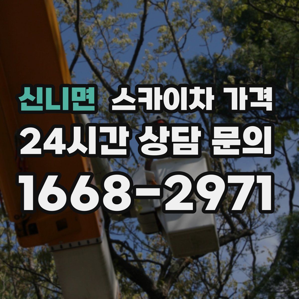 신니면 스카이차 가격