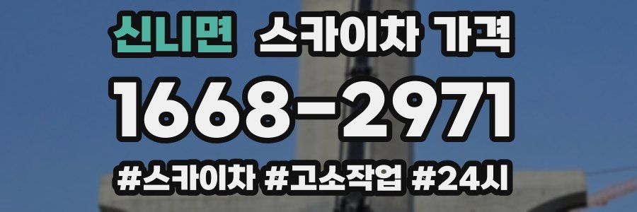 신니면 스카이차 가격