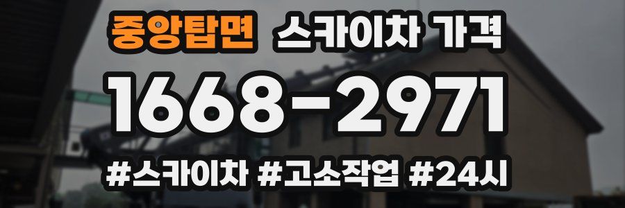 중앙탑면 스카이차 가격