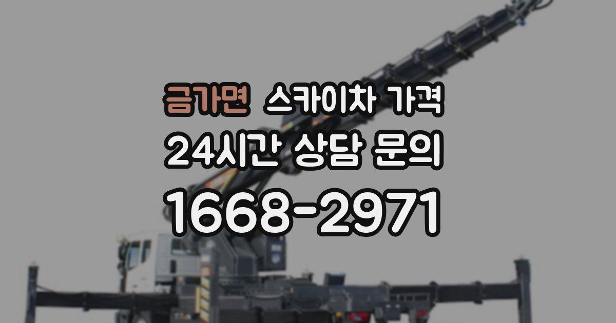 금가면 스카이차 가격