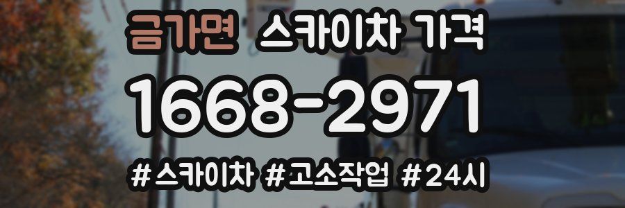 금가면 스카이차 가격