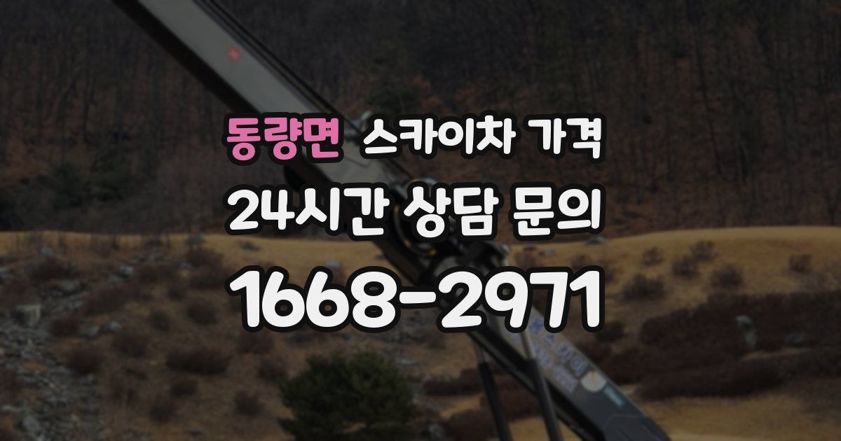 동량면 스카이차 가격