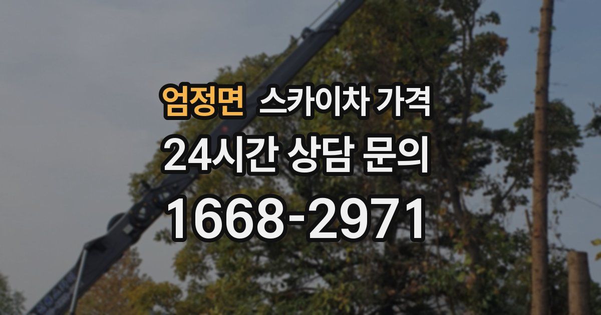 엄정면 스카이차 가격