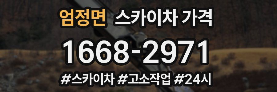 엄정면 스카이차 가격