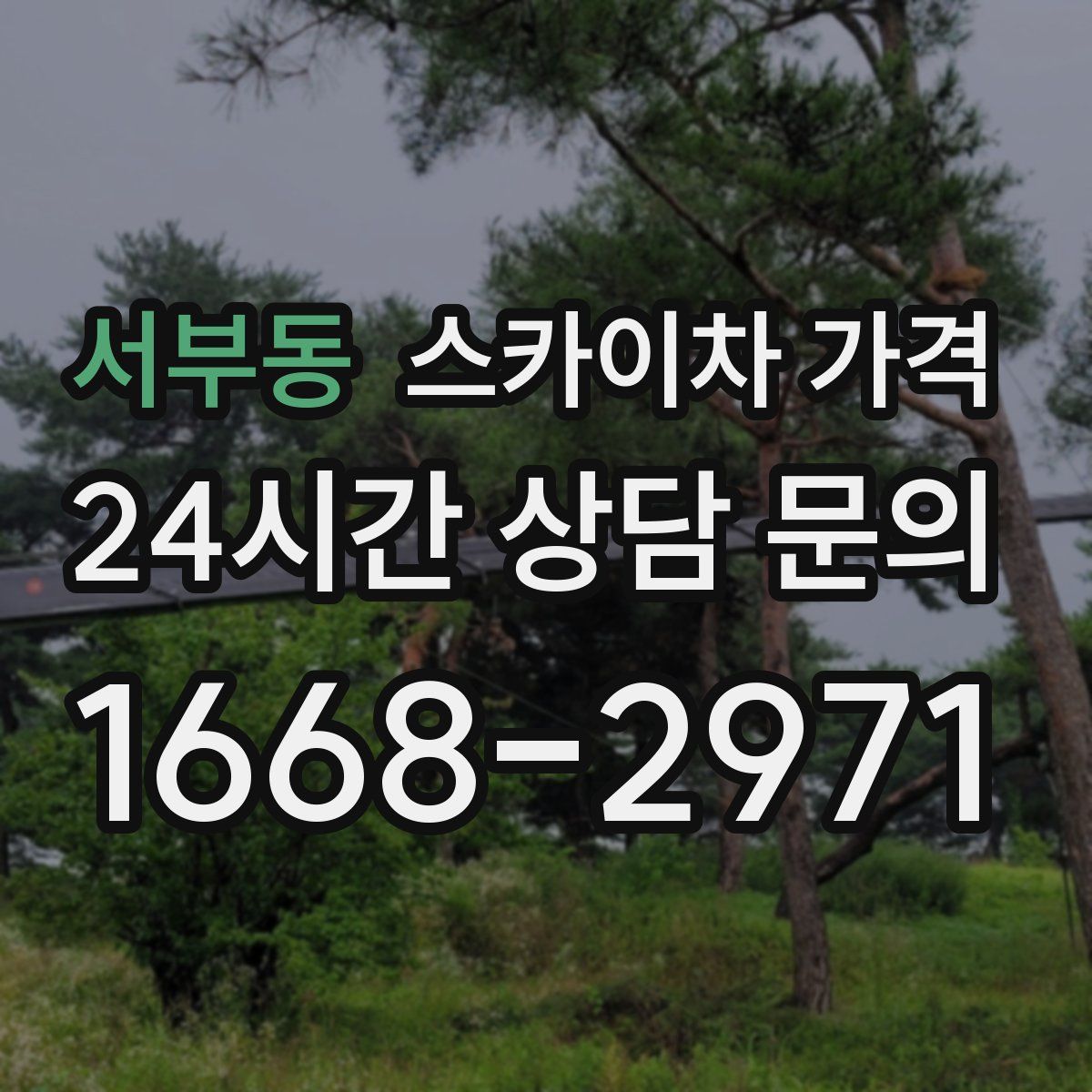 서부동 스카이차 가격