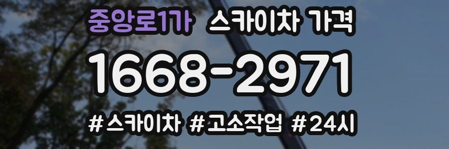 중앙로1가 스카이차 가격