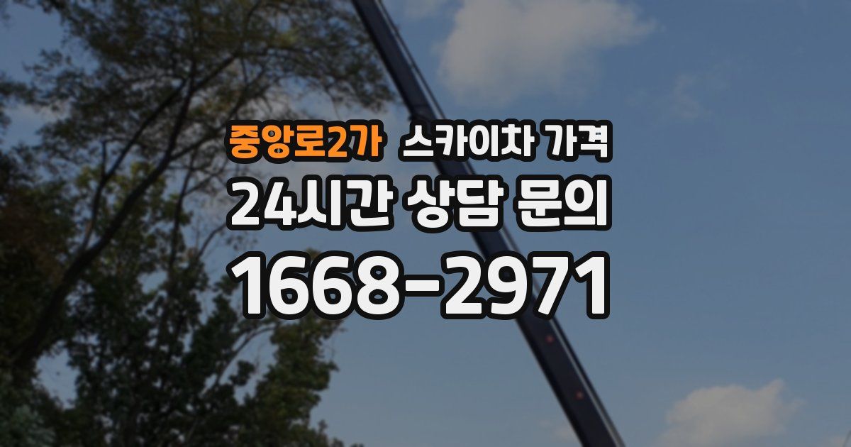 중앙로2가 스카이차 가격