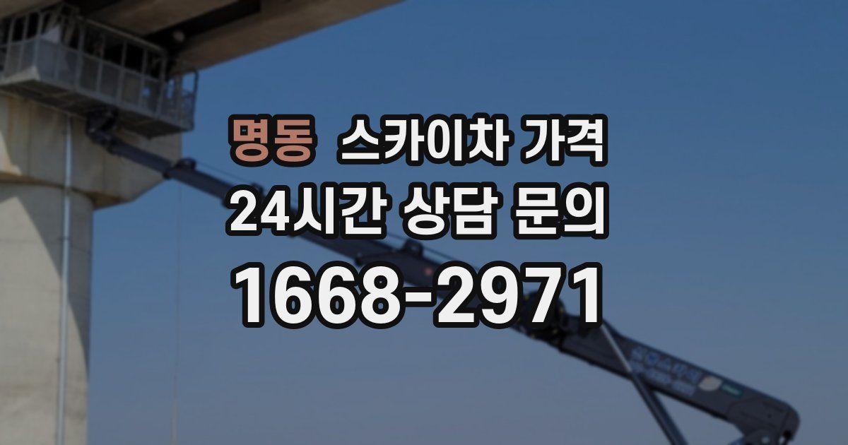 명동 스카이차 가격