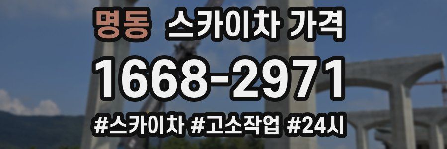 명동 스카이차 가격