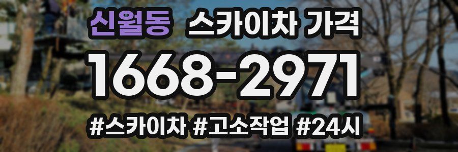 신월동 스카이차 가격