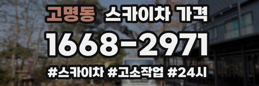 고명동 스카이차 가격