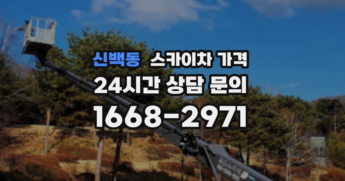 신백동 스카이차 가격