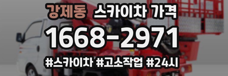 강제동 스카이차 가격