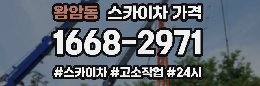 왕암동 스카이차 가격