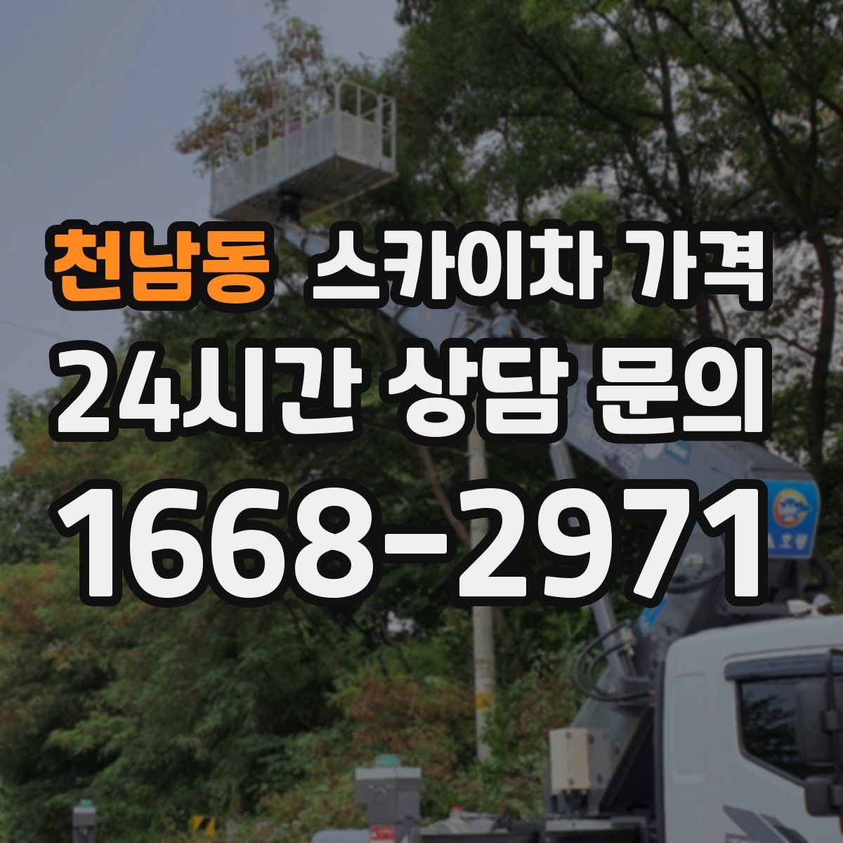 천남동 스카이차 가격