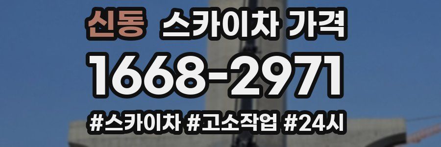 신동 스카이차 가격