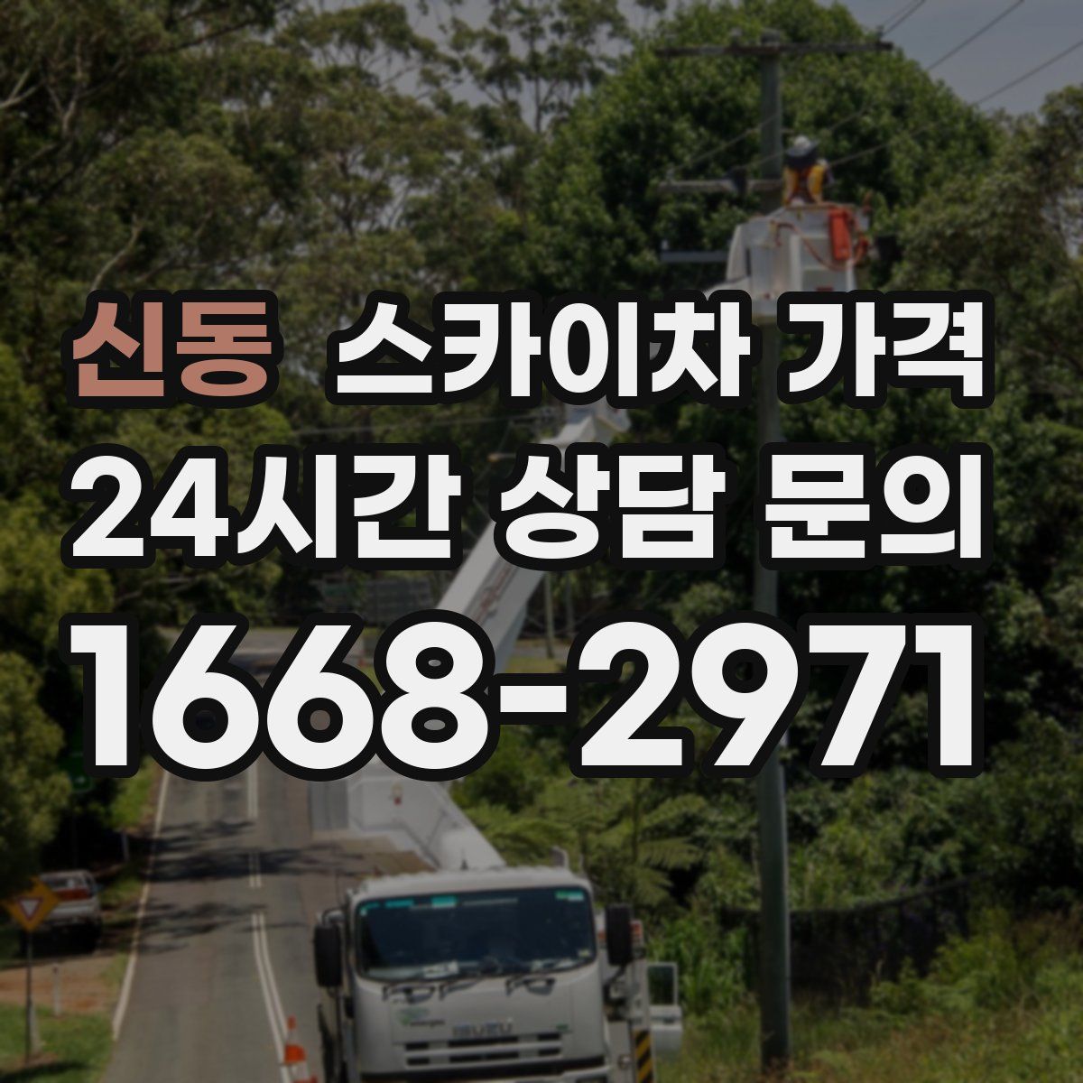 신동 스카이차 가격