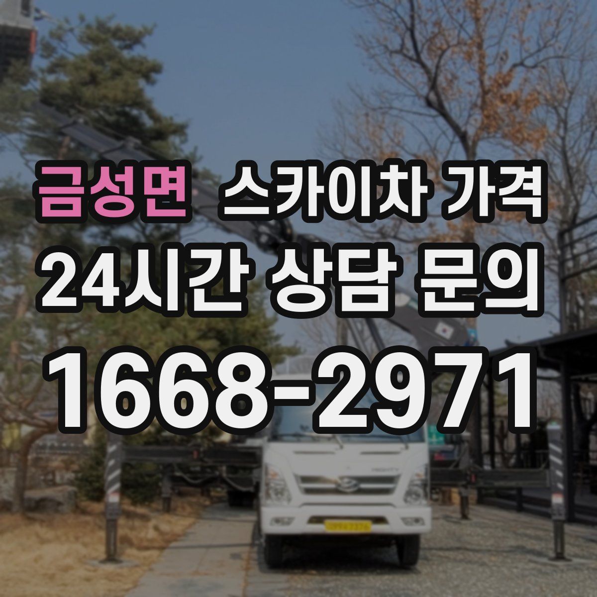 금성면 스카이차 가격