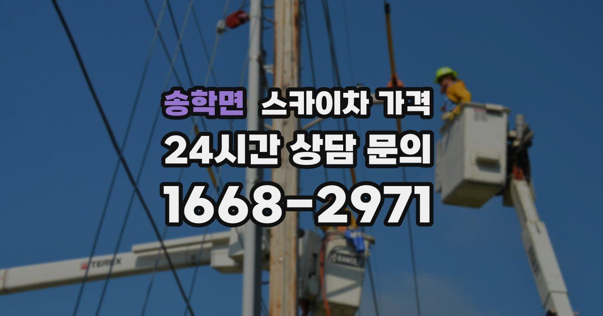 송학면 스카이차 가격