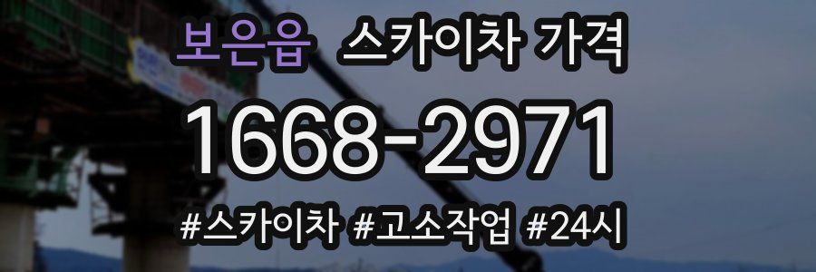 보은읍 스카이차 가격