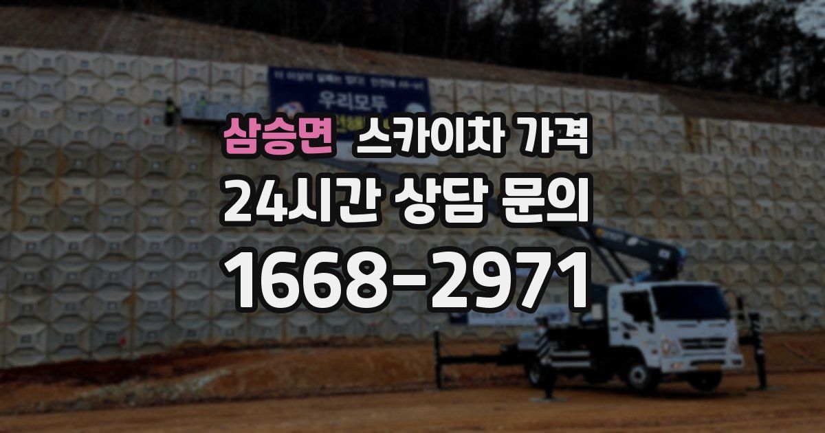 삼승면 스카이차 가격