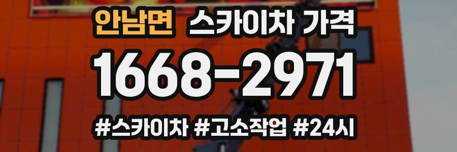 안남면 스카이차 가격