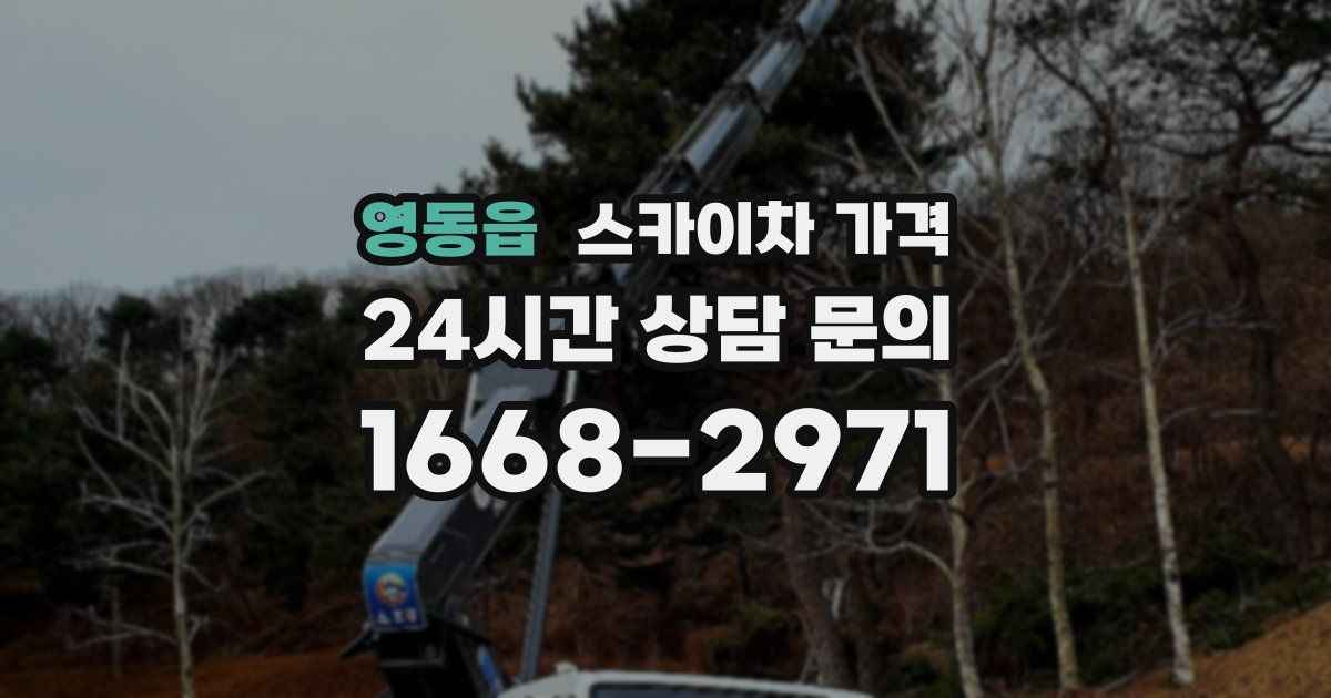 영동읍 스카이차 가격