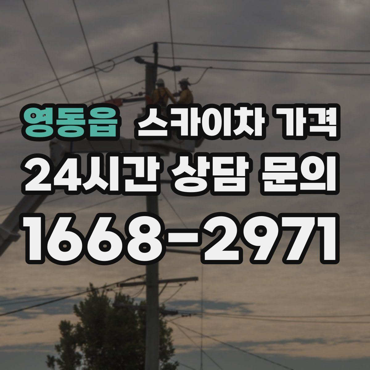 영동읍 스카이차 가격