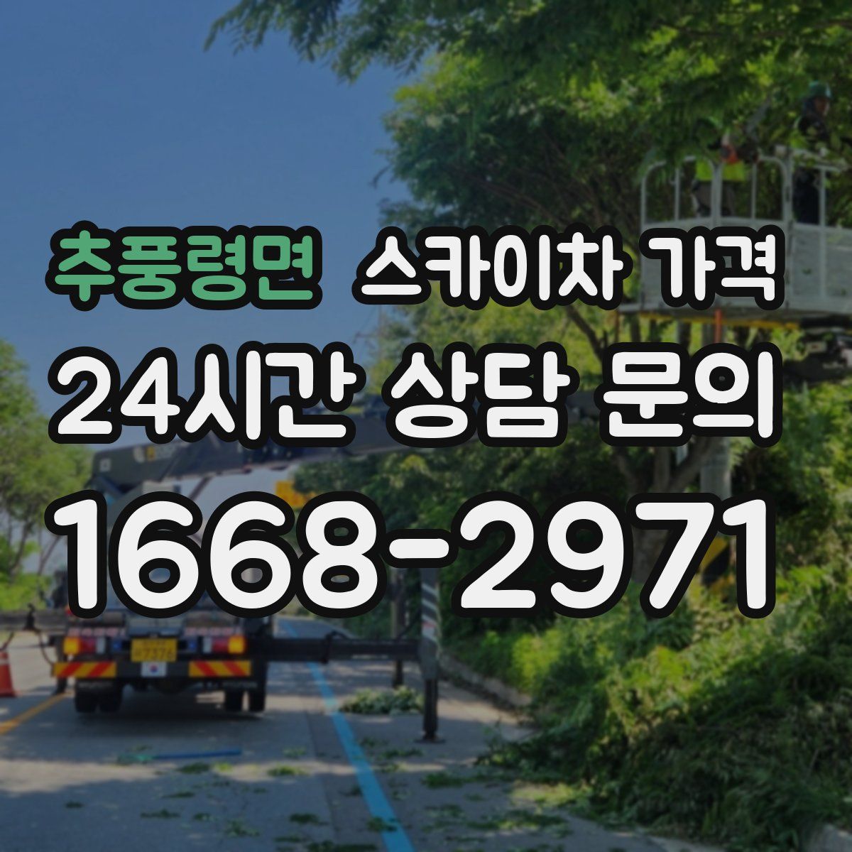 추풍령면 스카이차 가격