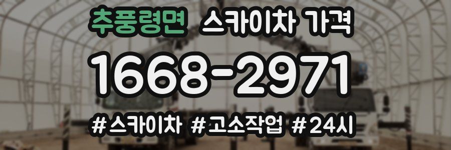 추풍령면 스카이차 가격