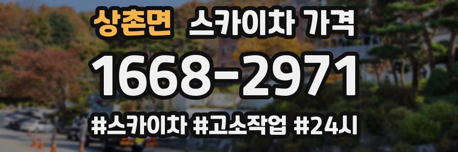 상촌면 스카이차 가격