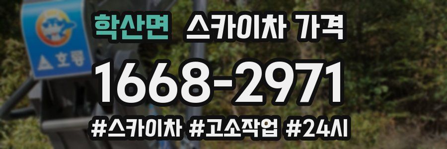 학산면 스카이차 가격