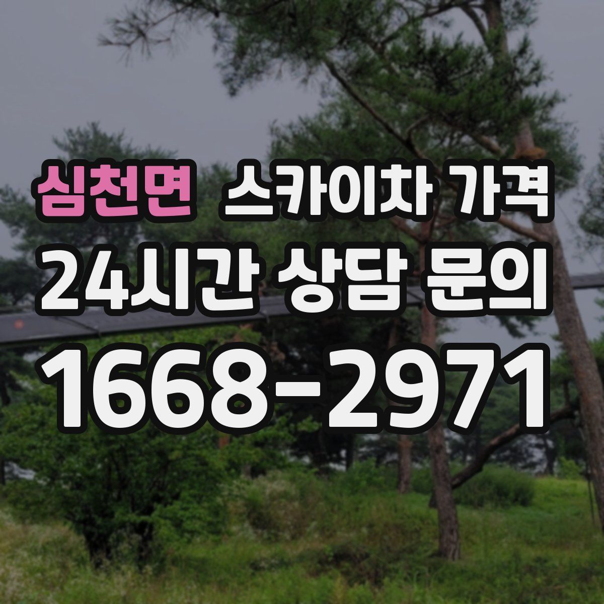 심천면 스카이차 가격