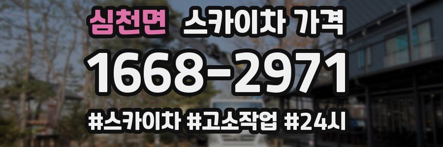 심천면 스카이차 가격