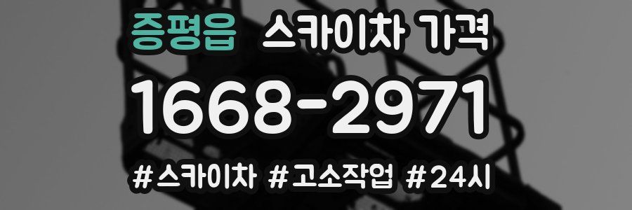 증평읍 스카이차 가격