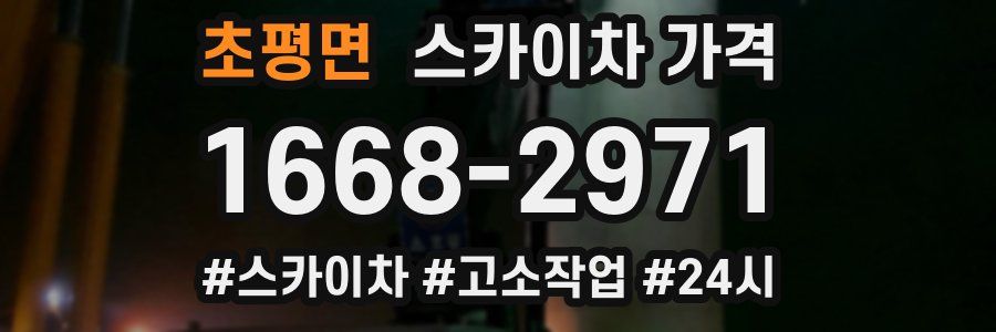 초평면 스카이차 가격