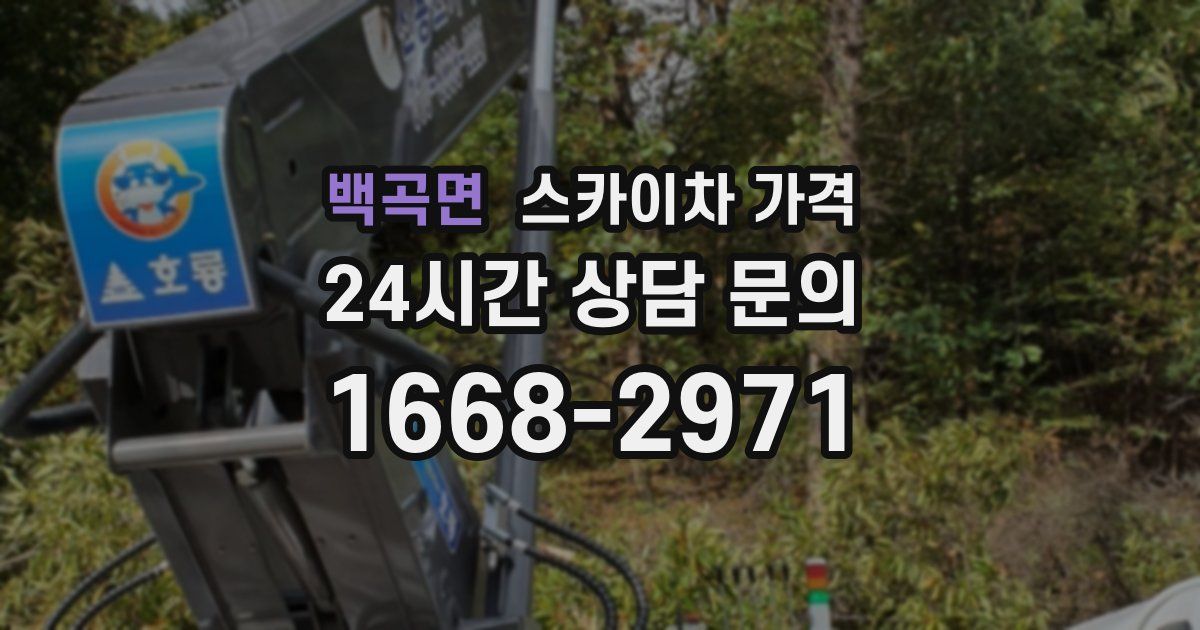 백곡면 스카이차 가격