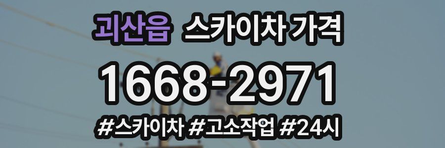 괴산읍 스카이차 가격