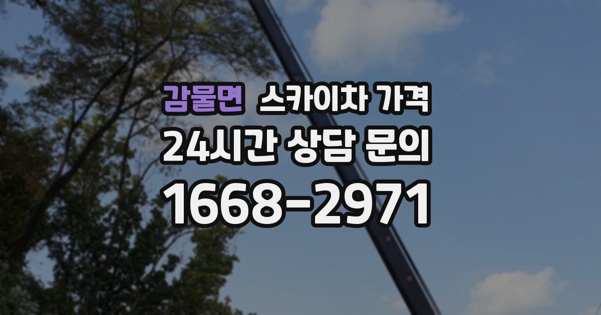 감물면 스카이차 가격