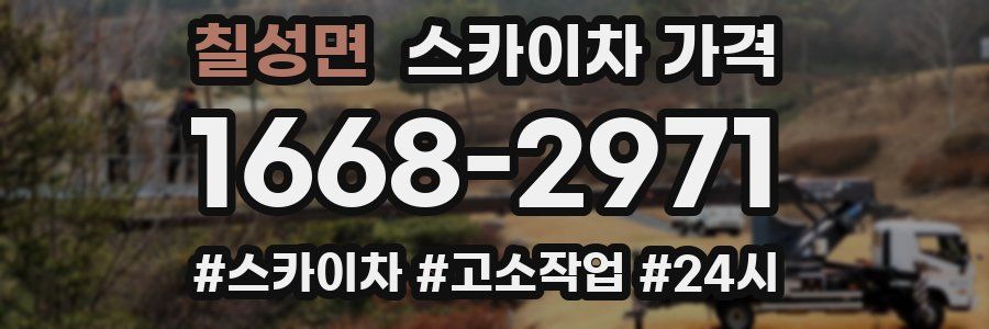칠성면 스카이차 가격