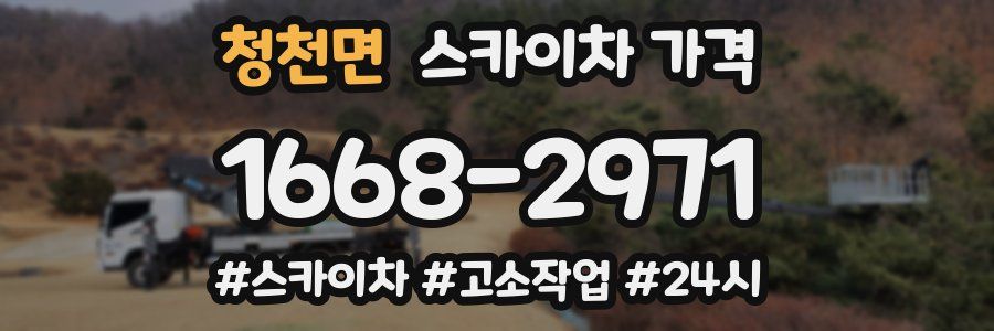 청천면 스카이차 가격