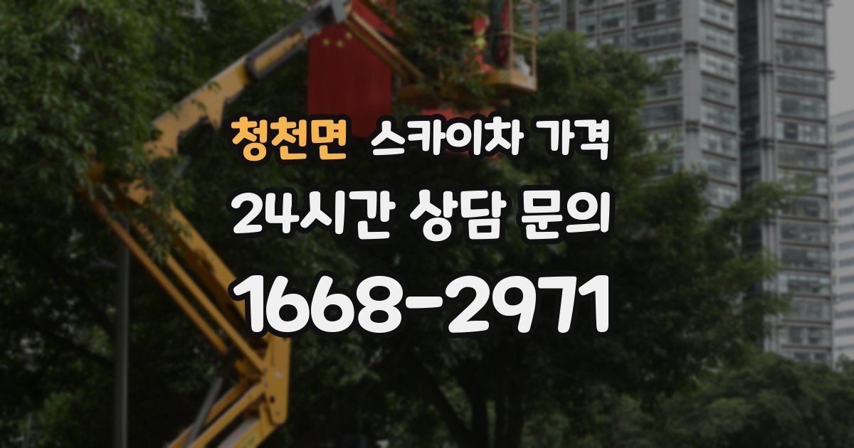 청천면 스카이차 가격